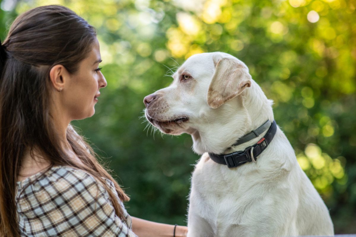 Imagem colorida de mulher olhando nos olhos de cachorro