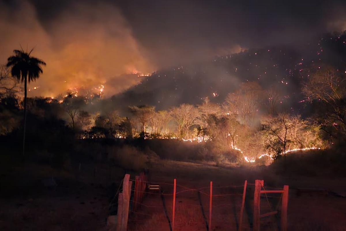 Bombeiros controlam, em Goiás, maior incêndio ativo no Brasil. Vídeo
