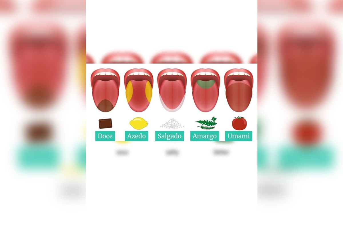 Foto colorida de papilas gustativas da língua - Fruta do milagre: conheça o fruto que transforma sabor azedo em doce