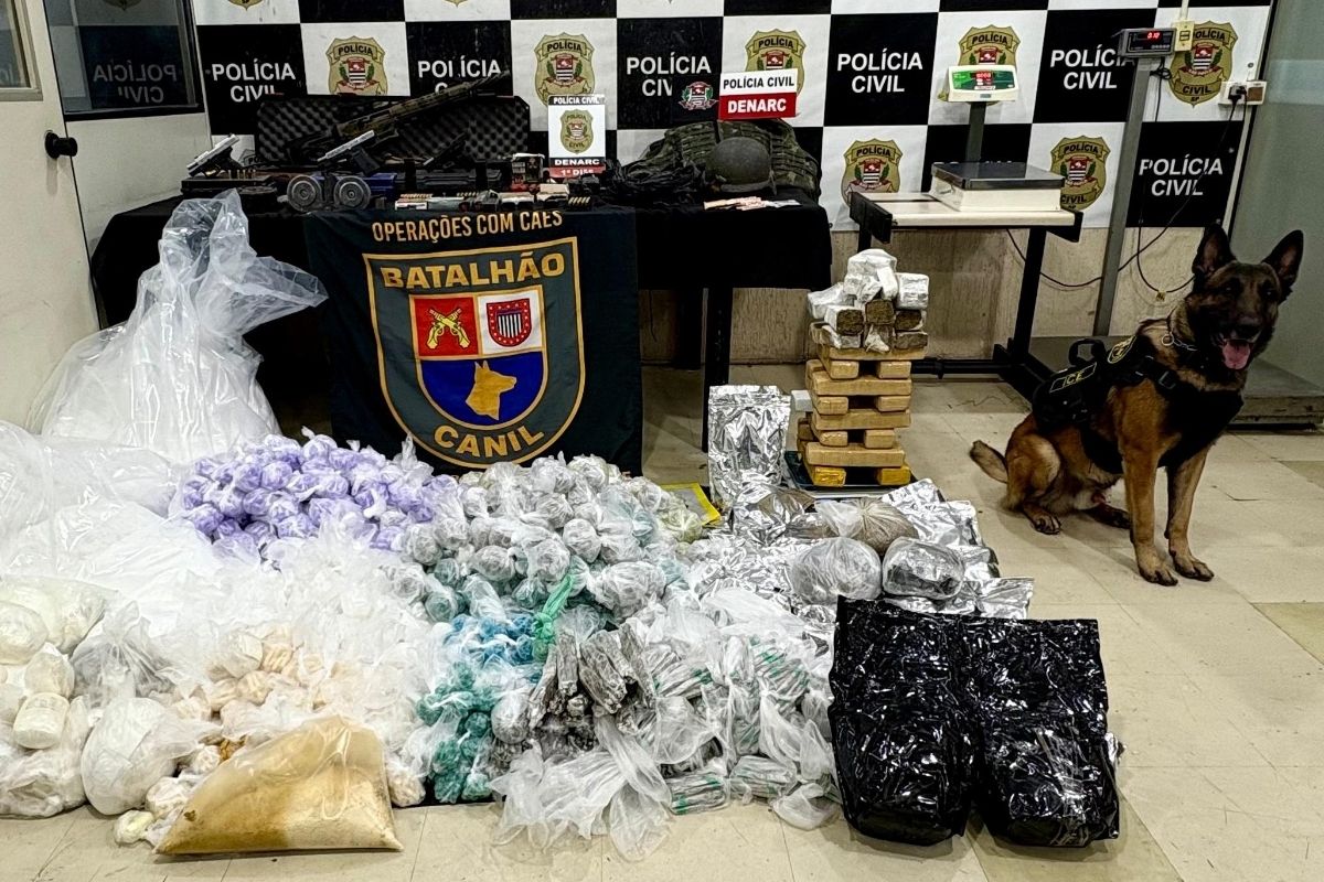 Cão farejador descobre casa com armas e 140 kg de drogas em SP