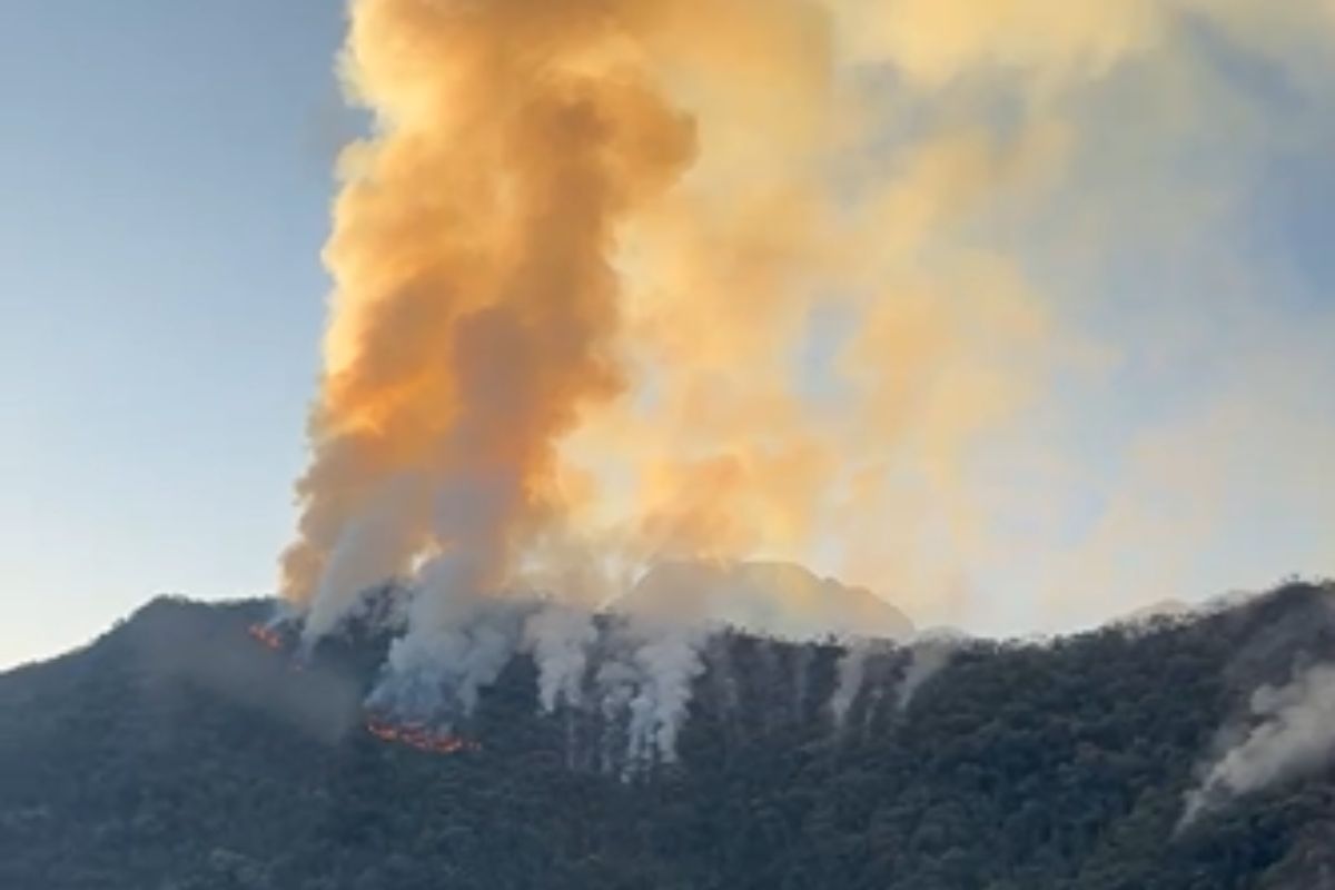Incêndios florestais atingem 13 cidades de SP neste sábado (13/9)