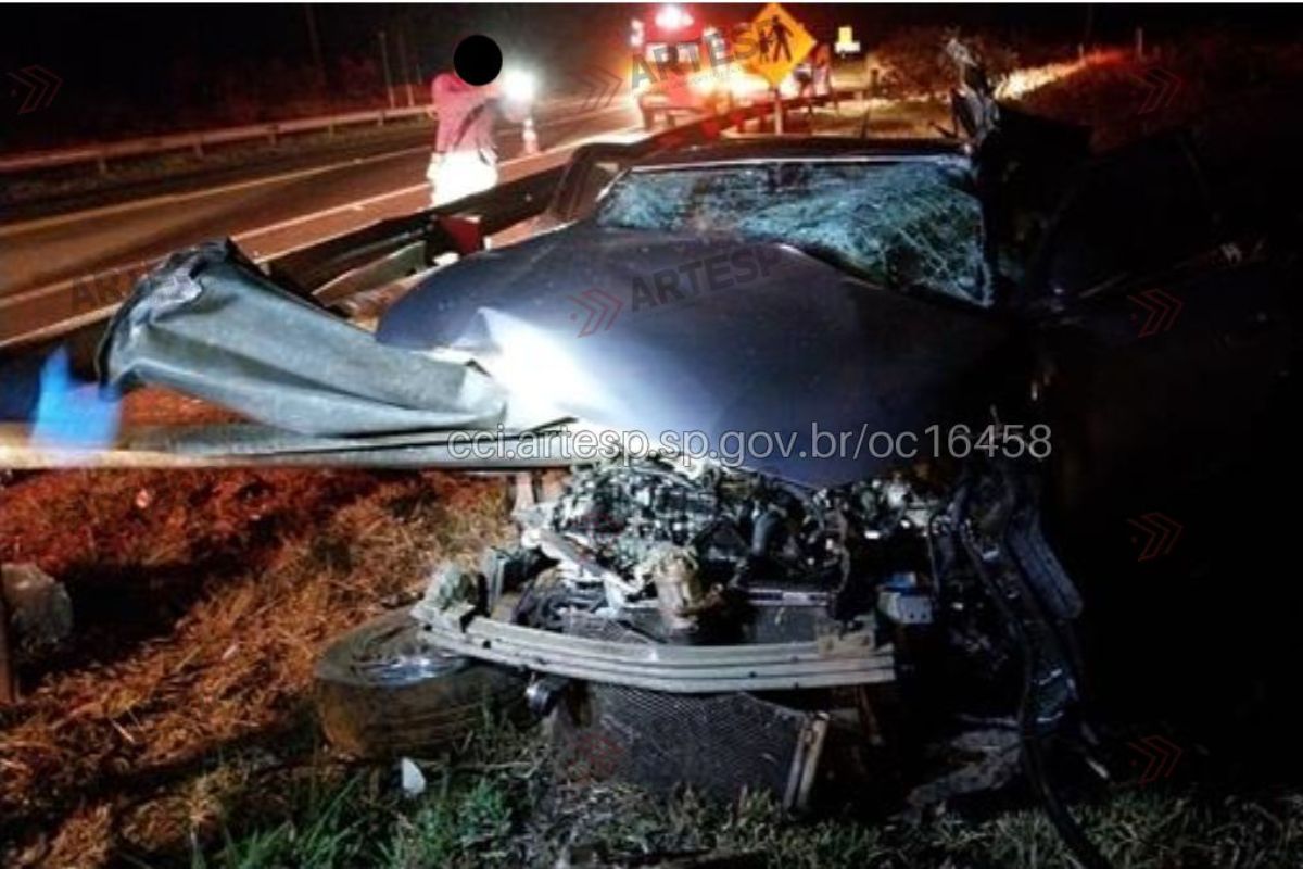 Homem morre ao tentar desviar de capivara e atingir mureta em rodovia