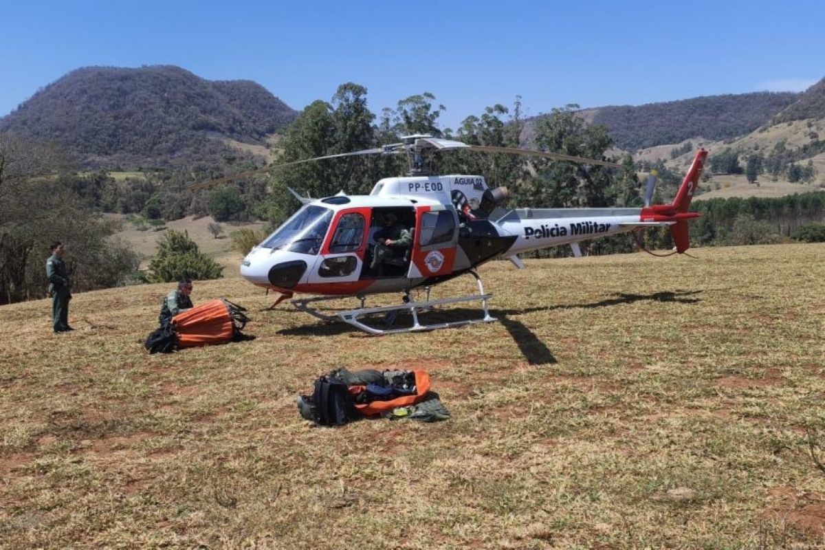 SP tem 5 incêndios em vegetação e governo monta gabinete de crise