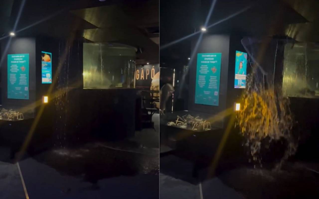 Vazamento de tanque de água assusta visitantes do AquaRio. Vídeo