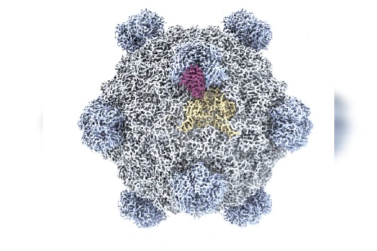 Vírus com DNA escrito por IA