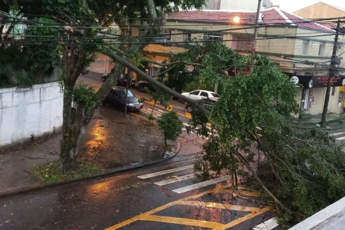 Defesa Civil emite alerta para temporais com rajadas de vento em SP