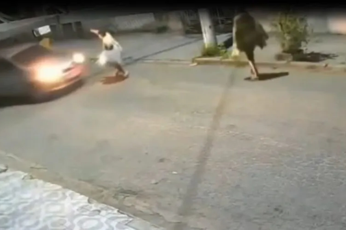 Motorista reage a assalto, atropela e mata suspeito no Rio de Janeiro