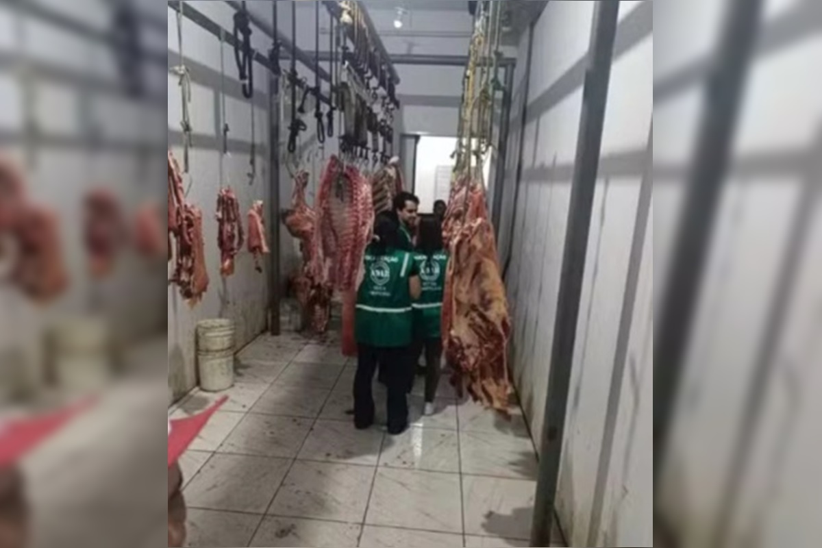 Cem quilos de carnes infectadas são apreendidos em cidade baiana