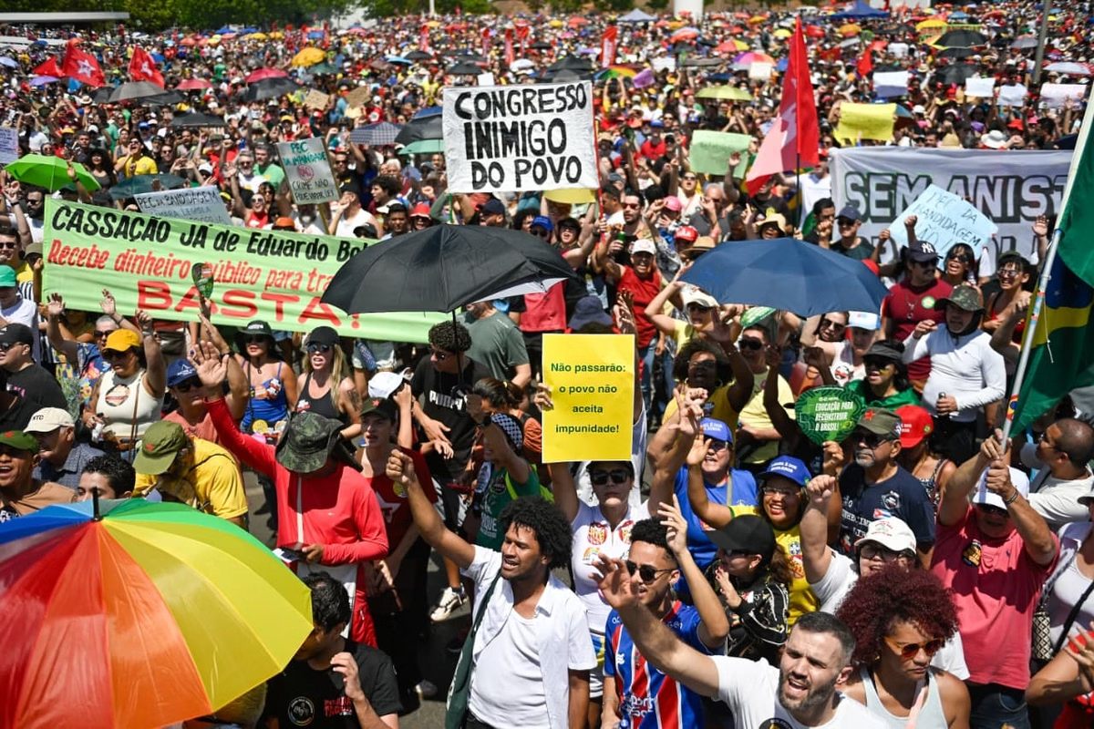 O bolsonarista que saiu no lucro com a PEC da Blindagem