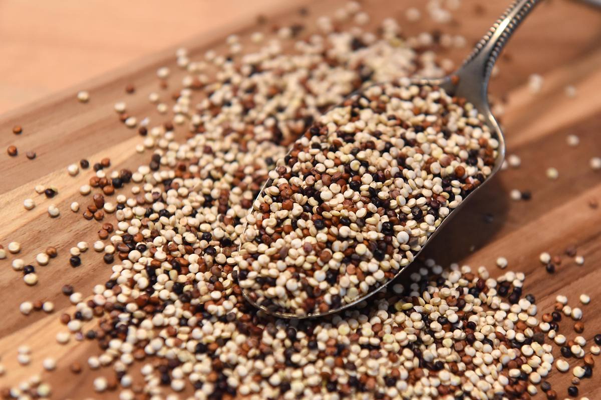 Foto colorida de quinoa em colher - Metrópoles