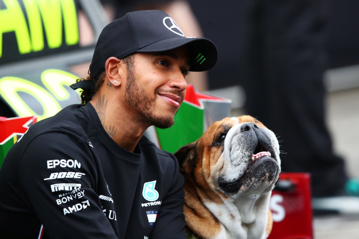 Cachorro de Lewis Hamilton, Roscoe é internado: “Horas assustadoras”