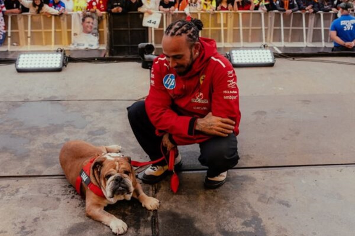 Lewis Hamilton anuncia morte de seu cão; como lidar com a dor do luto
