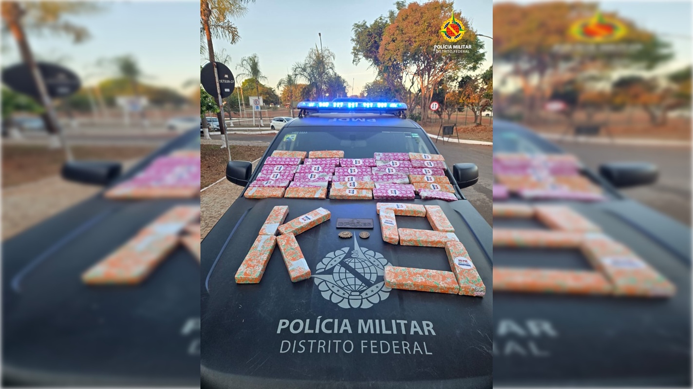 Grávida de 3 meses, mulher é presa com 39 tabletes de maconha no DF