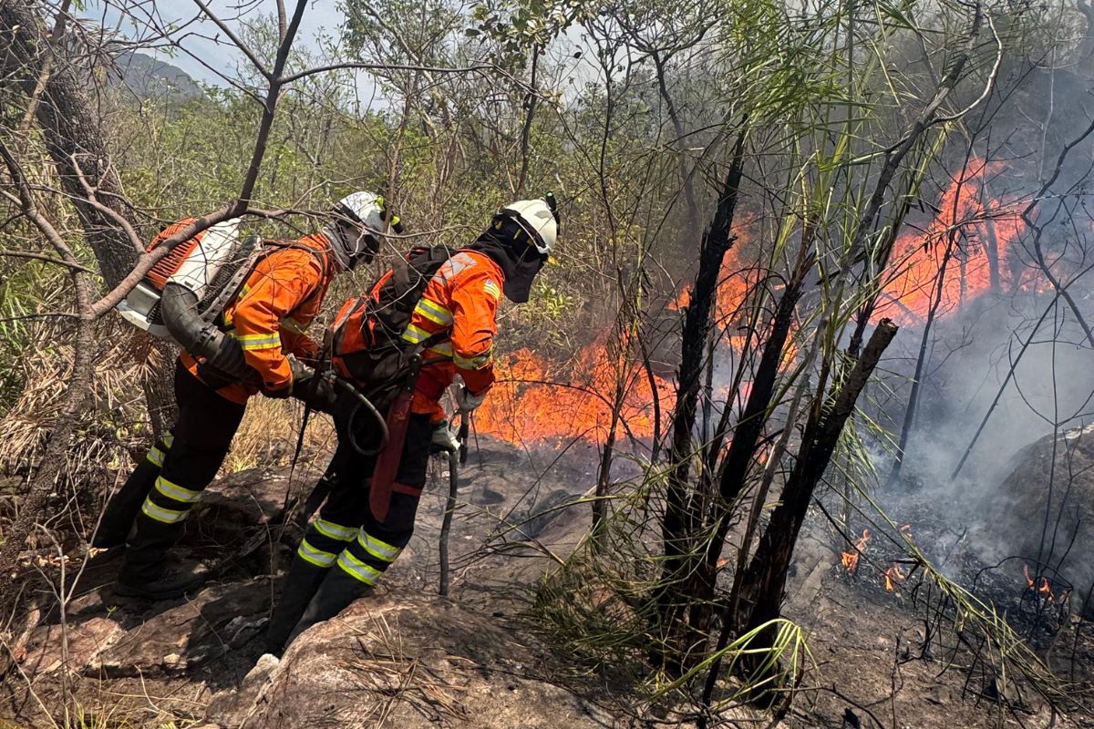 Chapada: incêndios chegam ao 15º dia e atingem Parque Nacional