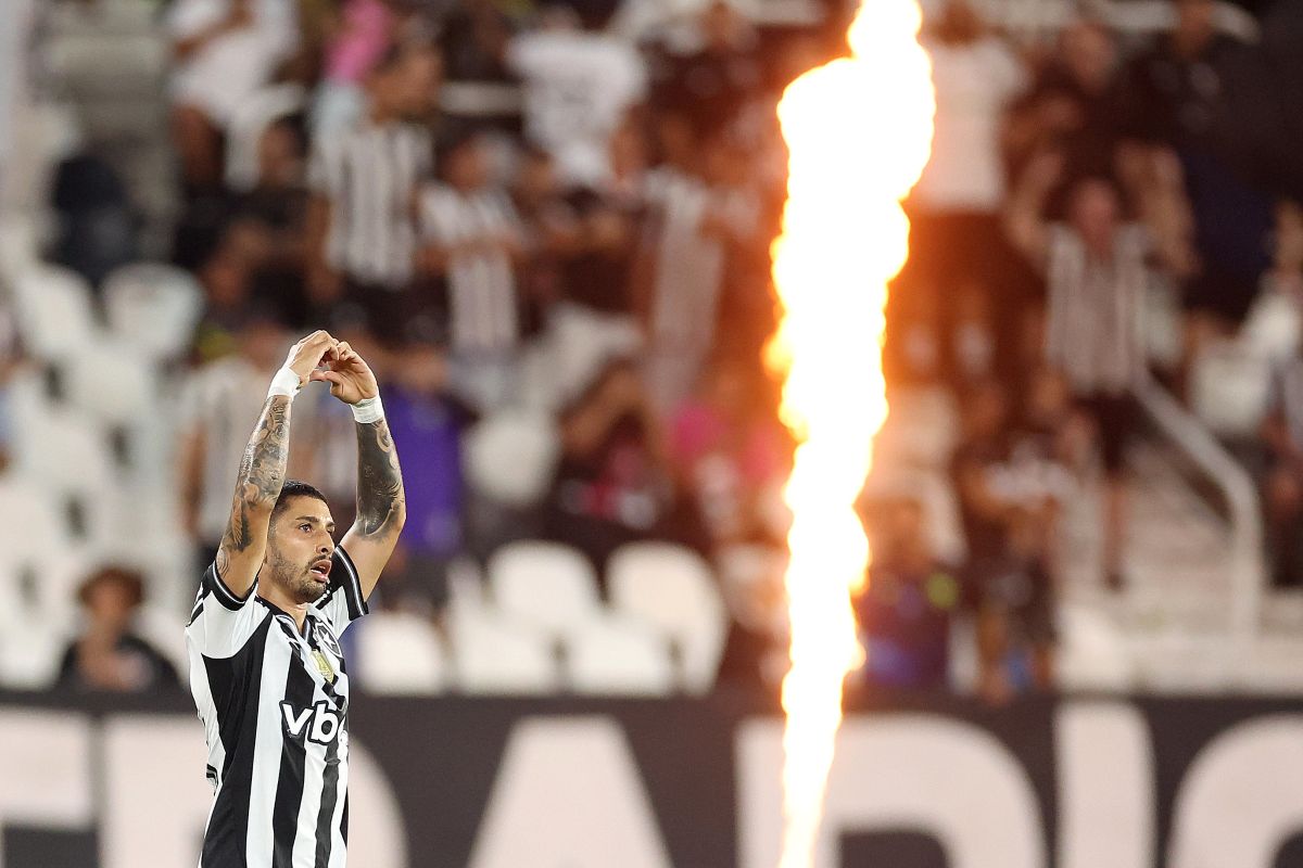 Botafogo despacha Bahia e volta a vencer no Campeonato Brasileiro