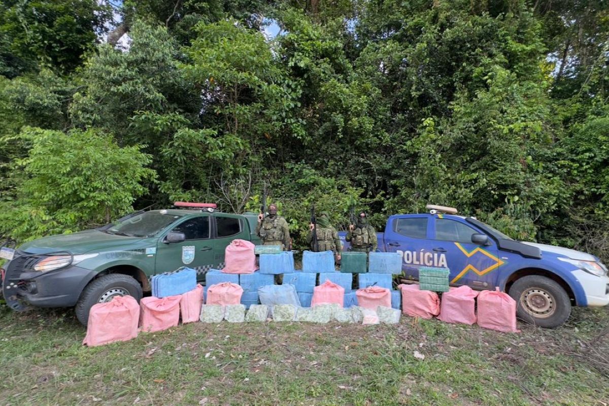 Polícia apreende quase uma tonelada de pasta base de cocaína em RO