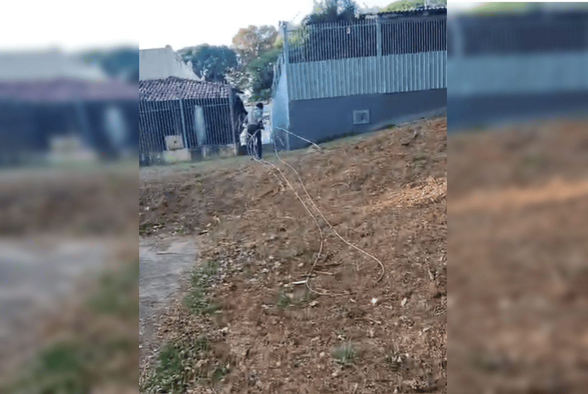 Vídeo: homem é flagrado furtando cabos em bueiro na Asa Norte