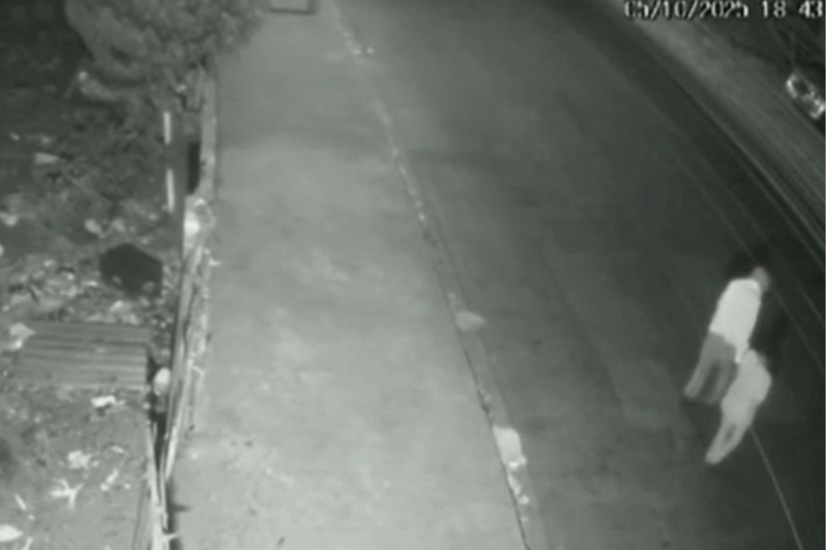 Vídeo: casal de idosos é atropelado por homem bêbado e sem CNH em SP