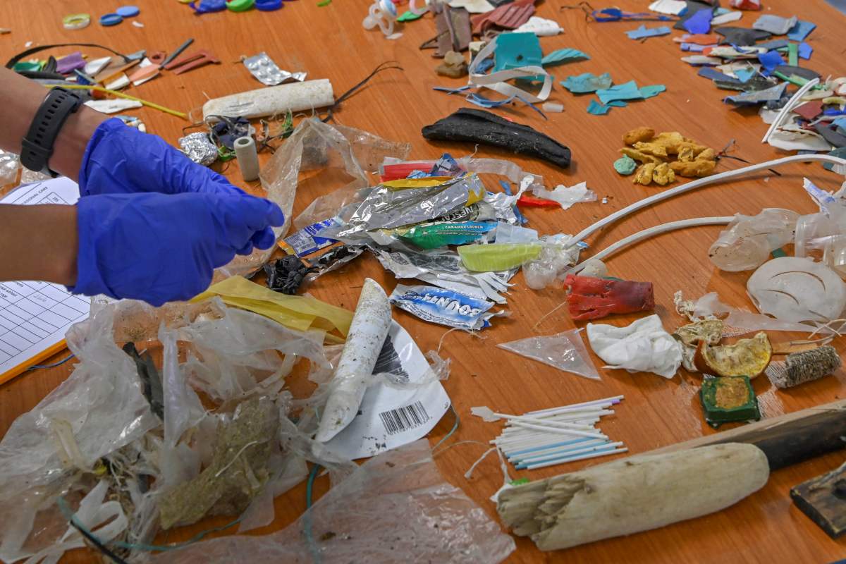 Urgente! 7 em cada 10 praias brasileiras estão contaminadas por microplásticos: entenda os riscos!