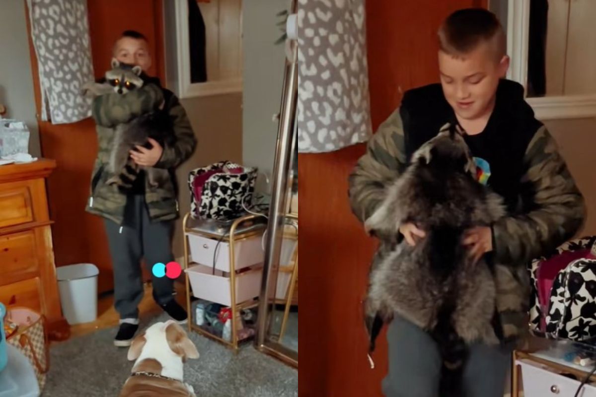 montagem colorida mãe compartilha momento em que filho chega com animal selvagem em casa 