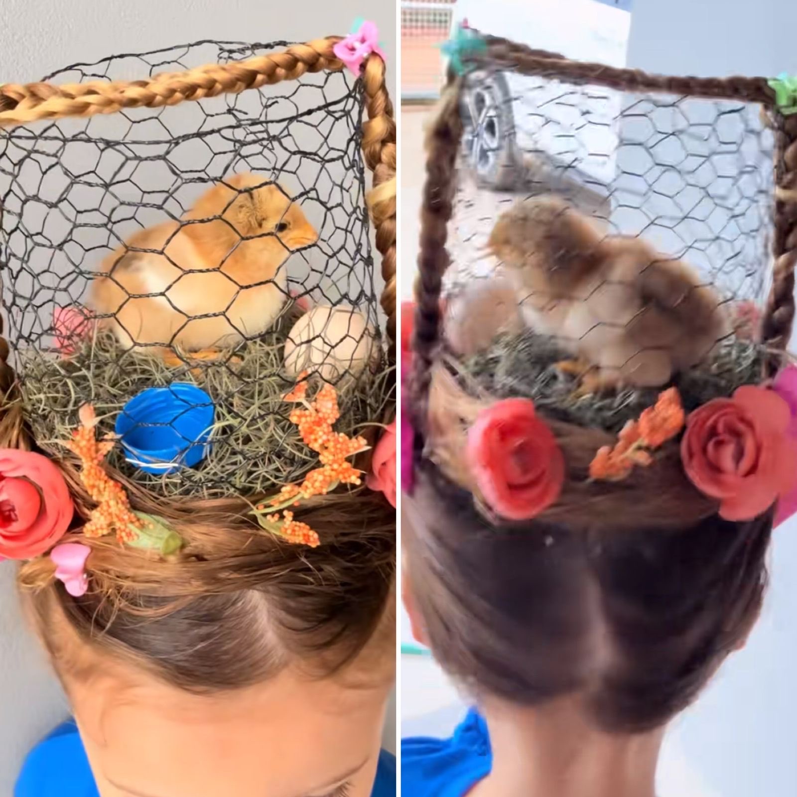 dia do cabelo maluco pintinho vivo - metrópoles
