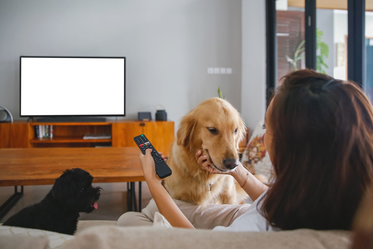 Por que você chora com filmes de cachorro? A ciência por trás das lágrimas!