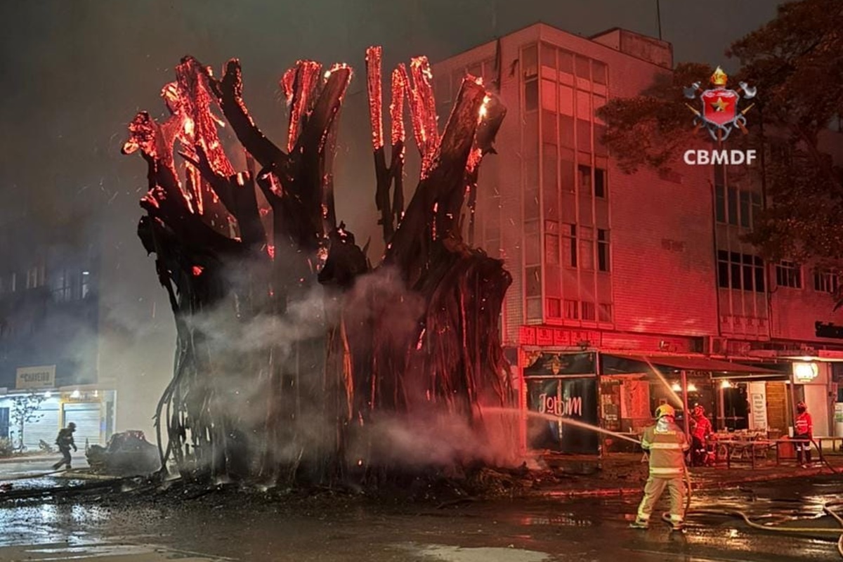 Advogado colocou fogo em gameleira de 40 anos para “entreter o filho”