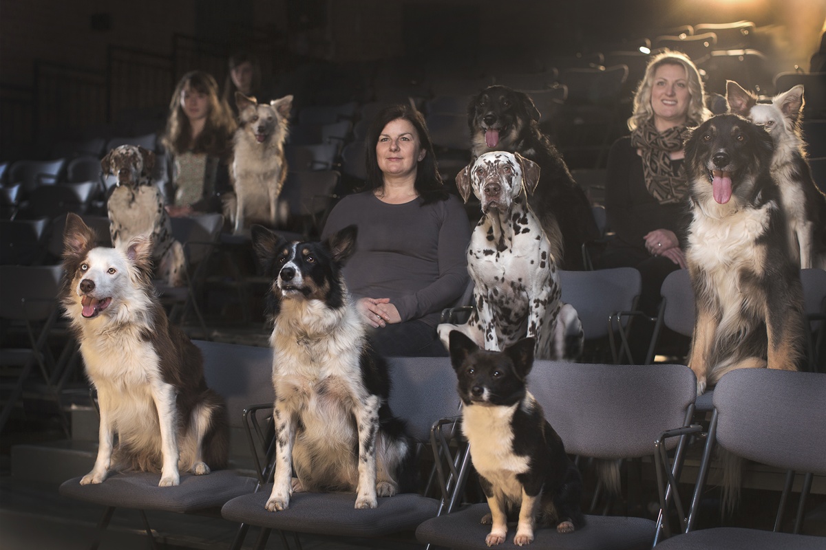 10 filmes de cachorro para maratonar e “chorar litros”
