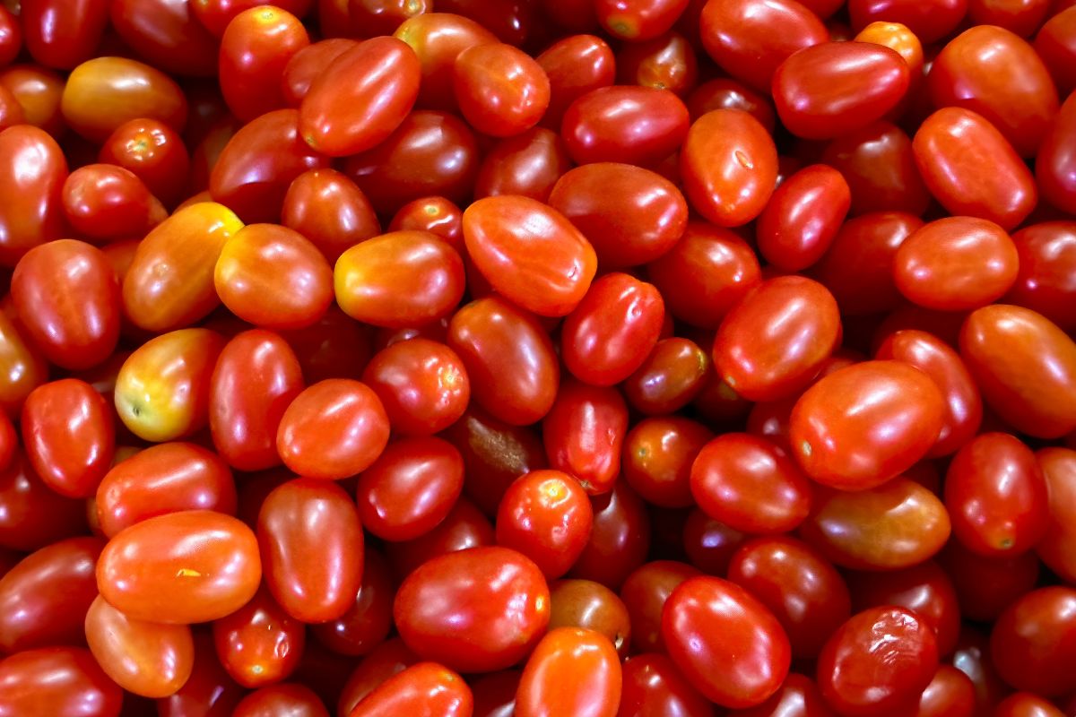 Foto colorida de tomate-cereja - Metrópoles