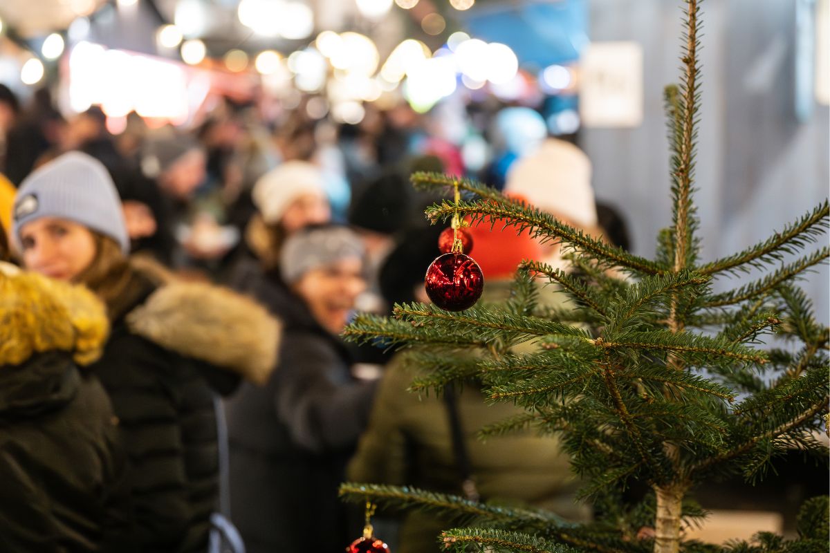 Foto colorida de um pinheiro como árvore de Natal - Metrópoles