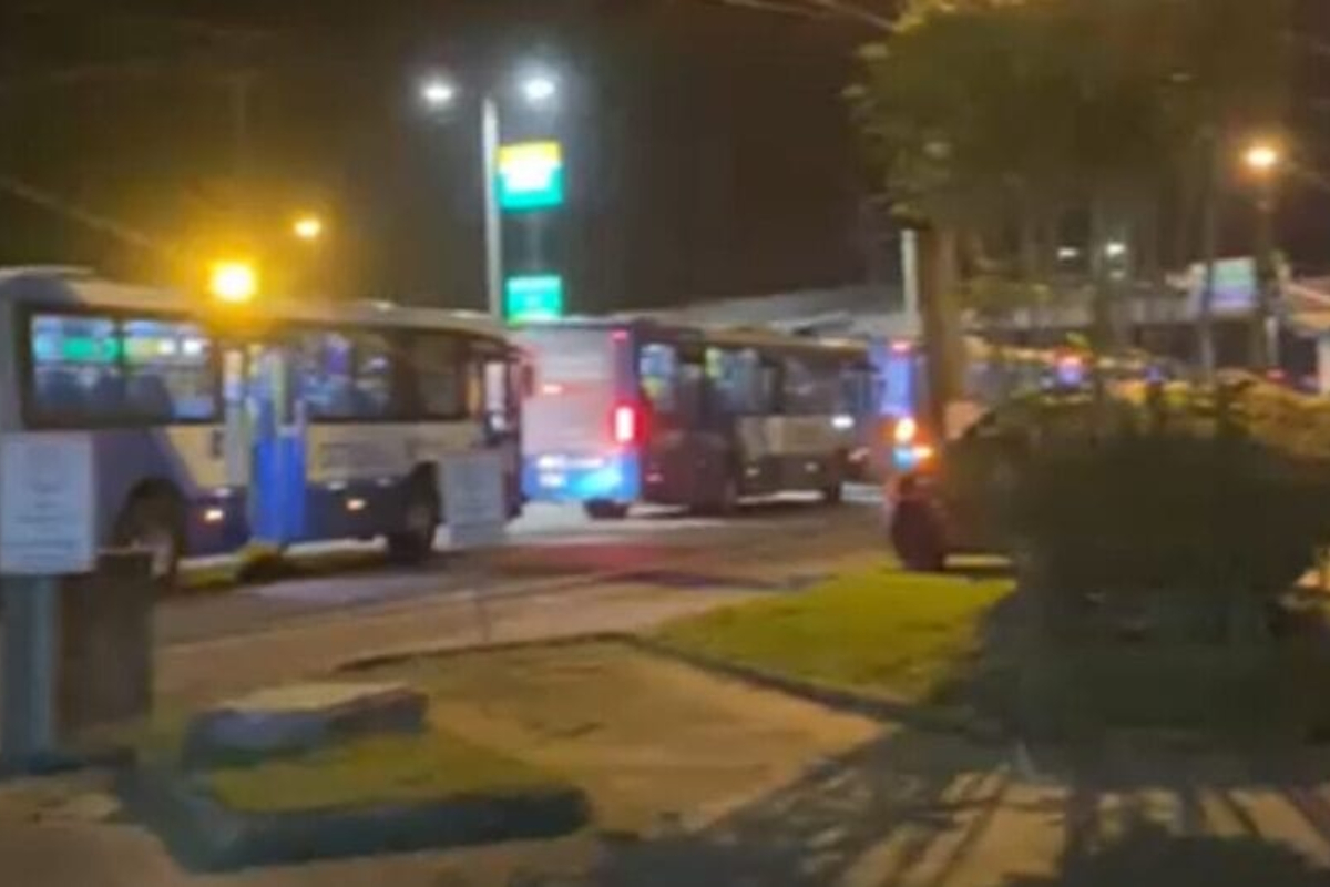 Na faixa: criança morre atropelada por ônibus em Florianópolis