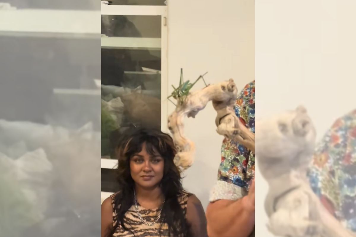Foto colorida de um inseto e uma mulher - Metrópoles