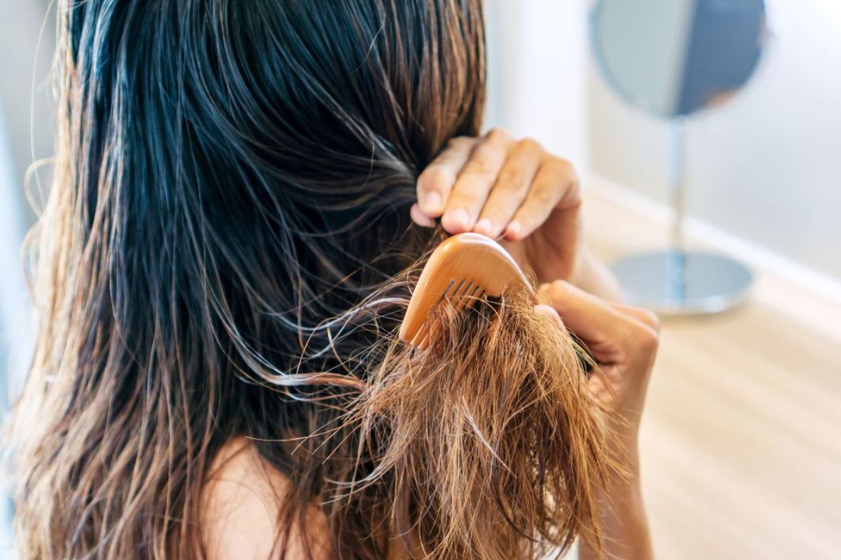 Cabelo embaraçado: saiba como prevenir e evitar a quebra dos fios