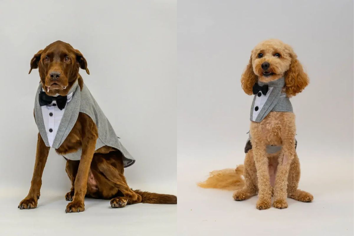 Jeter e Ronnie na sessão de fotos que a equipe fez de surpresa para o casal