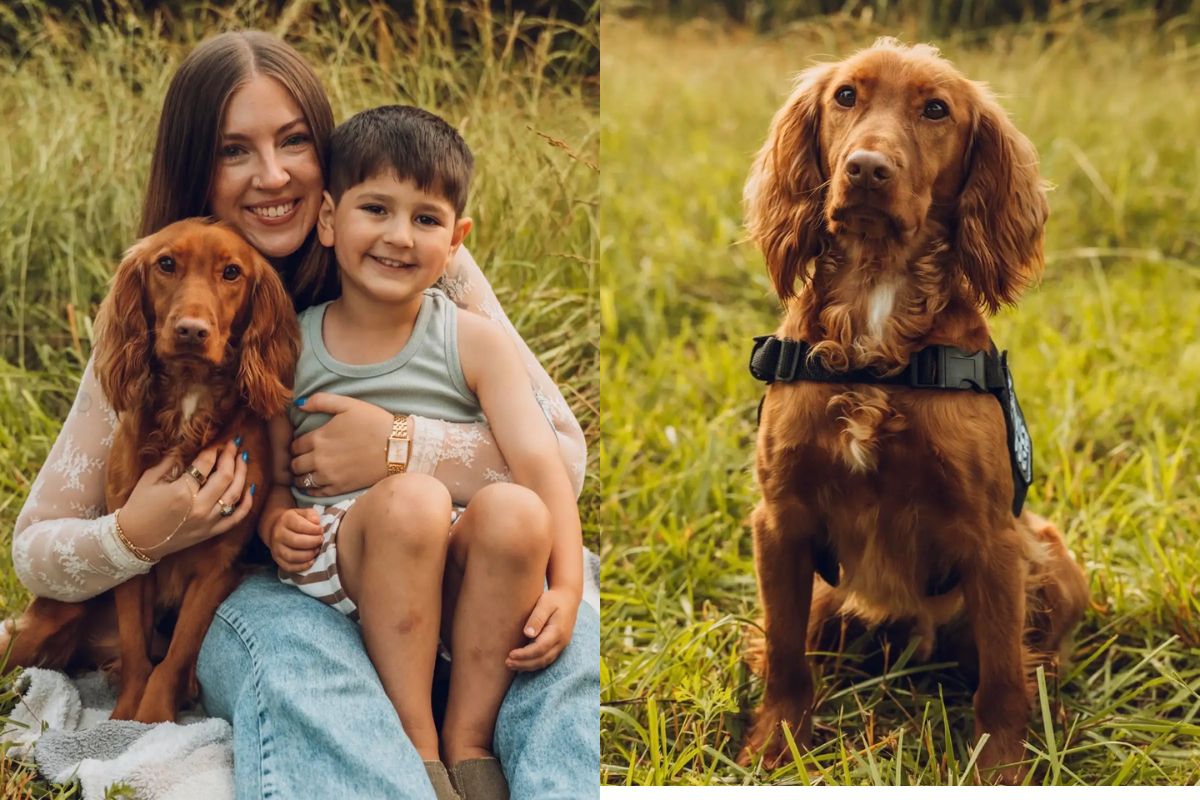 Ducky, o cão de serviço que alertou mãe de criança com diabetes tipo 1 mesmo de longe