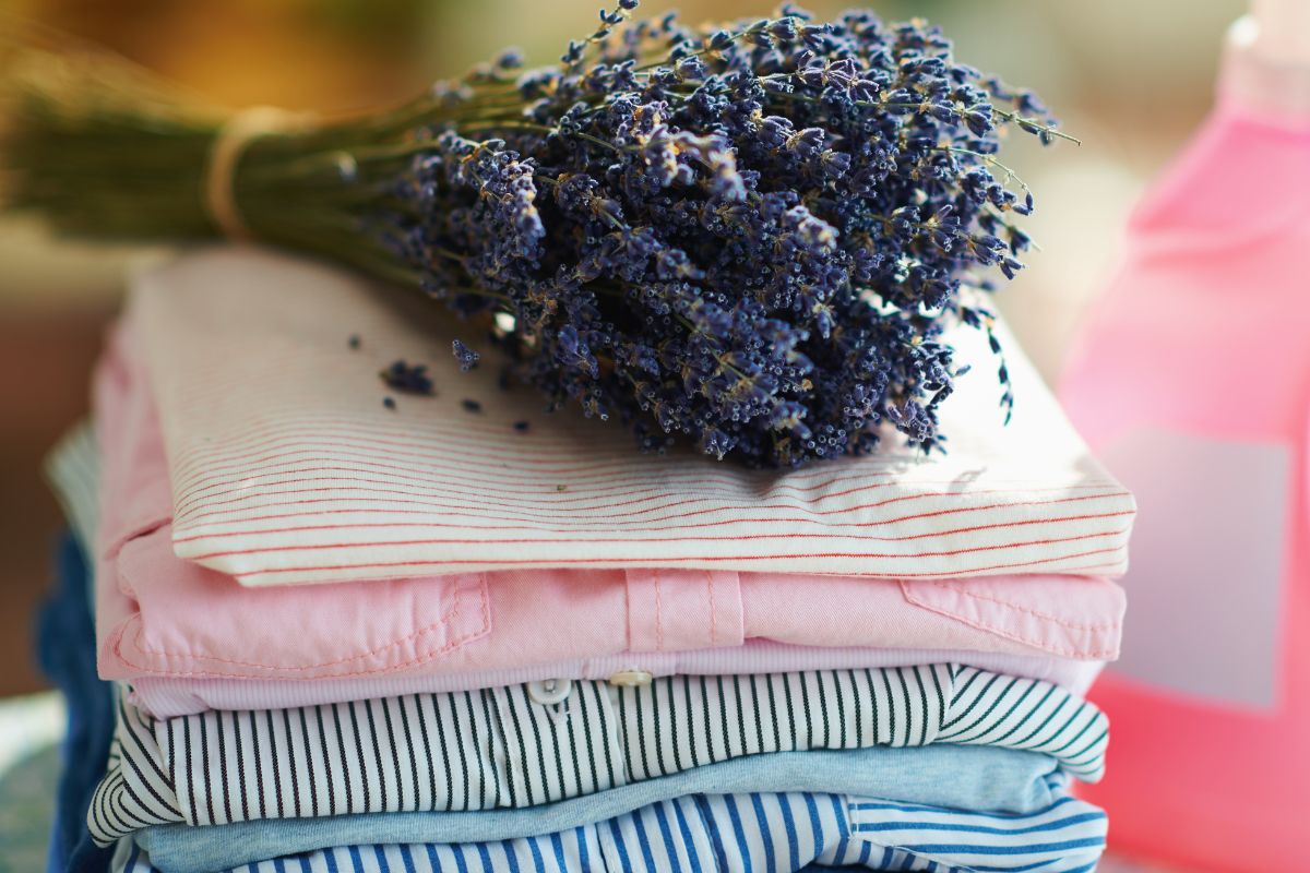 foto colorida de roupas cheirosas