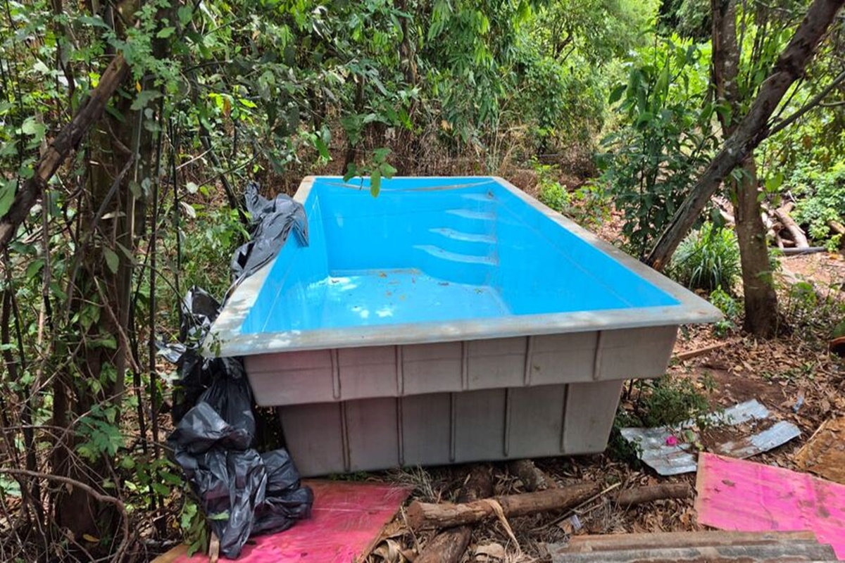 Suspeitos de furtar piscina em Mato Grosso do Sul são presos. Vídeo