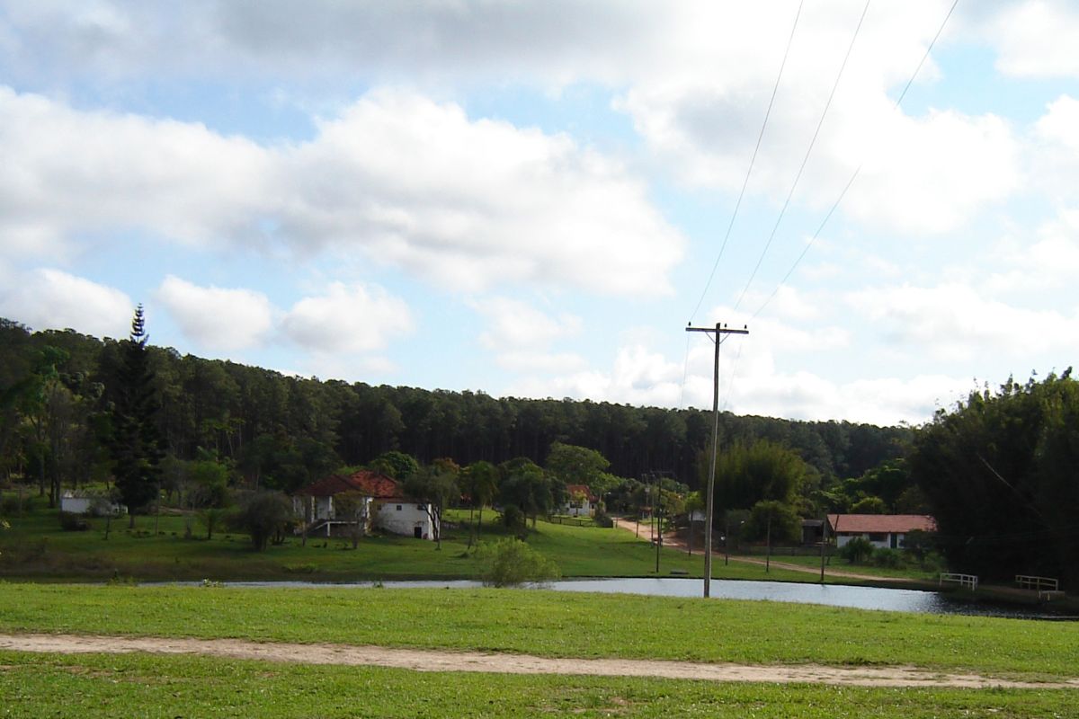 Urgente! Juiz Detona Tarcísio por Doação de Área Protegida: Aeroporto em Risco?