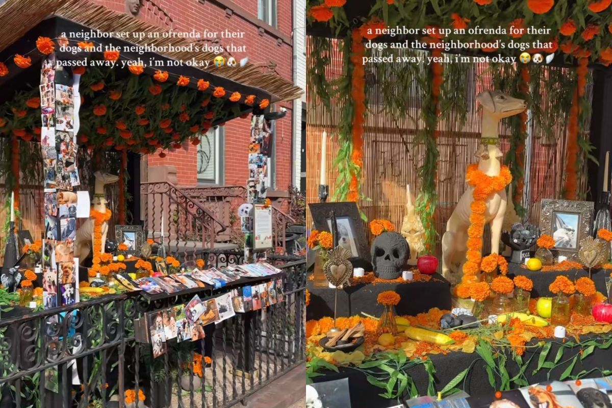 altar para pets falecidos