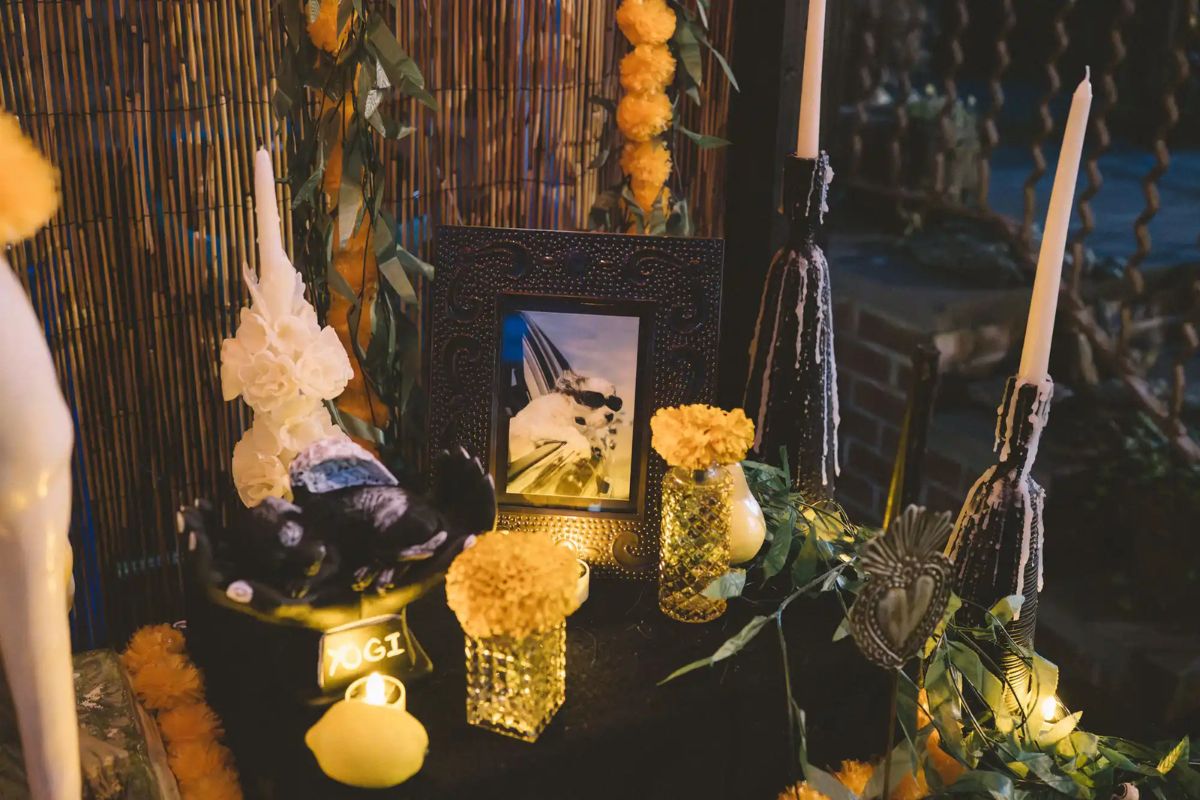 altar para pets falecidos