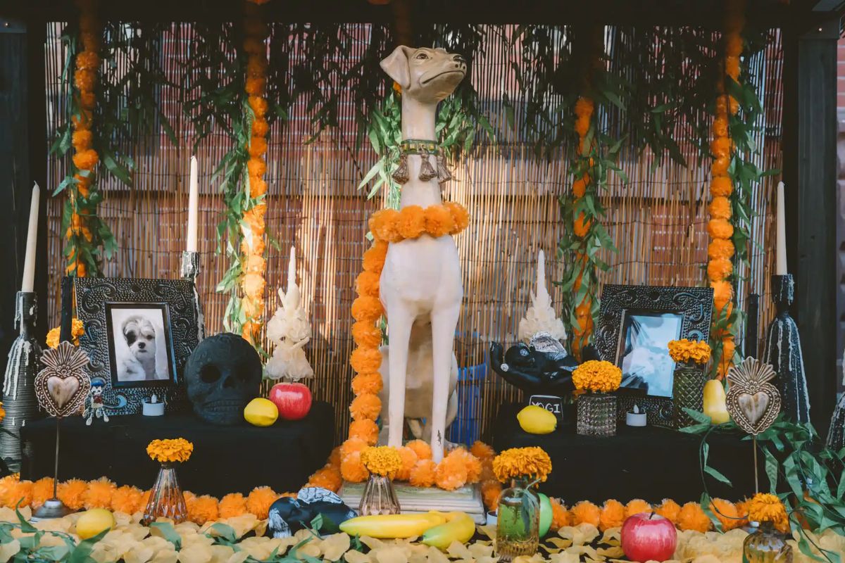 altar para pets falecidos