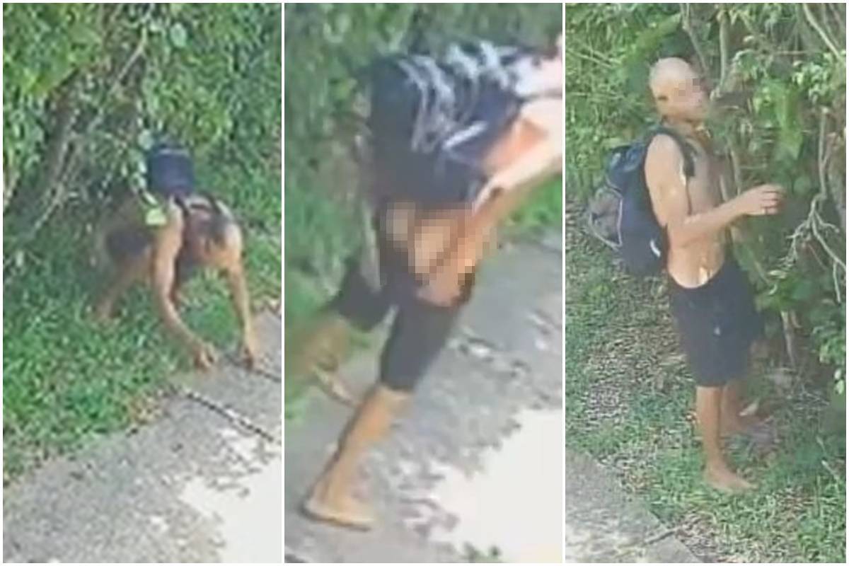 Cagão defeca na porta de casa no DF antes de invadir para furtar