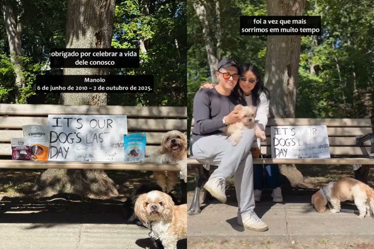 tutores levam cachorro para passar o ultimo dia em parque