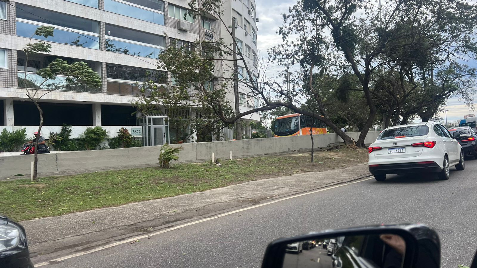 Ventania assusta moradores e derruba árvores no Rio