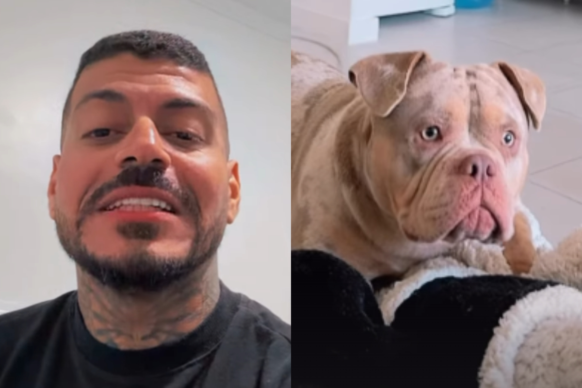 Influencer que teve dedo comido por cão reage a pedido de eutanásia