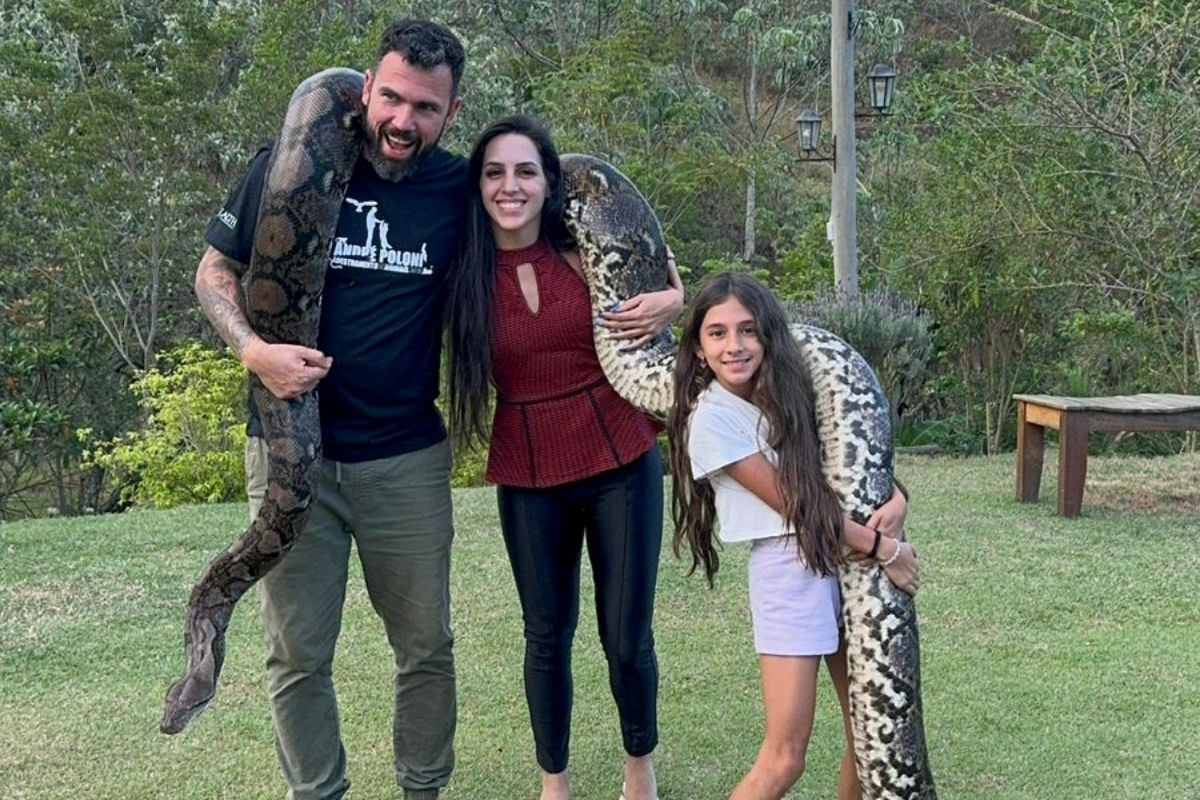 Mais de 100 animais: família de SP tem cobras, jacaré e macaco em casa