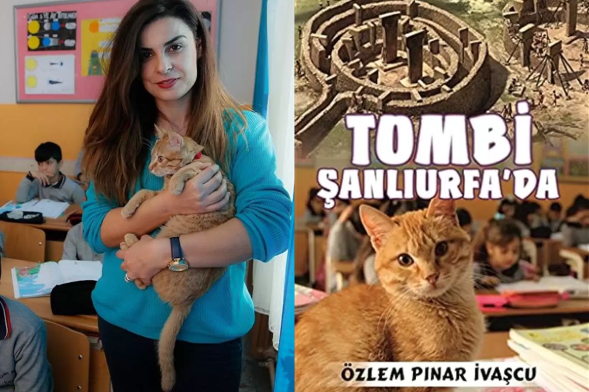 gato tombi na sala de aula
