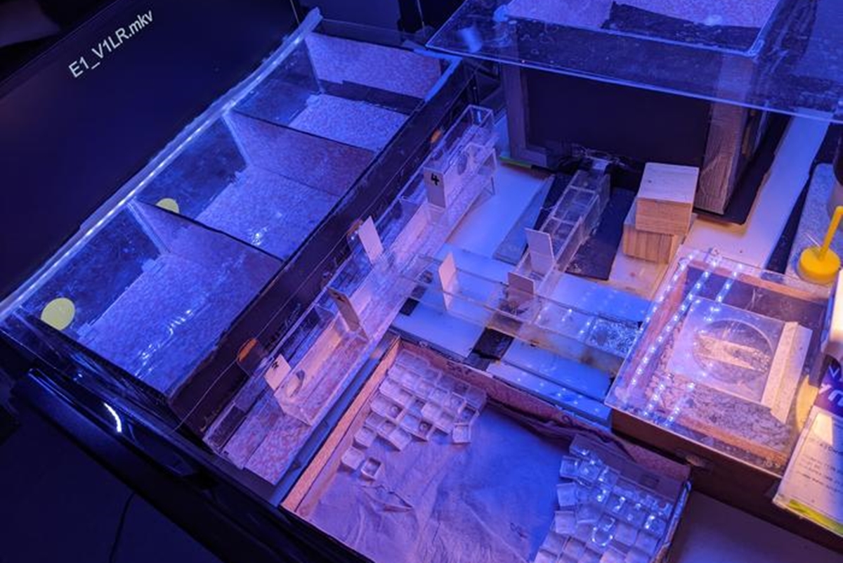 Imagem colorida mostra local de experimento com luzes feito com abelhas - Metrópoles