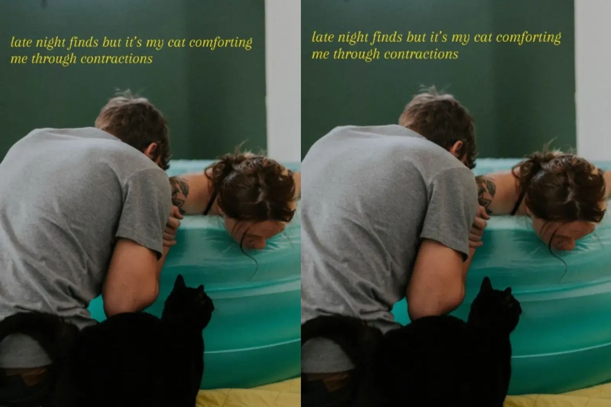 gato ao lado de tutora durante parto