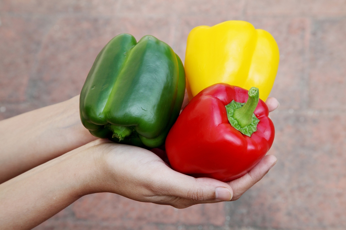 Foto colorida de três pimentões nas cores amarelo, vermelho e verde - Metrópoles